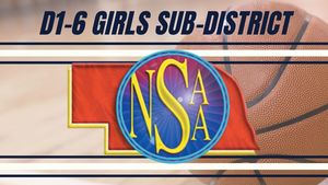 Girls Sub-District Basketball Tournament